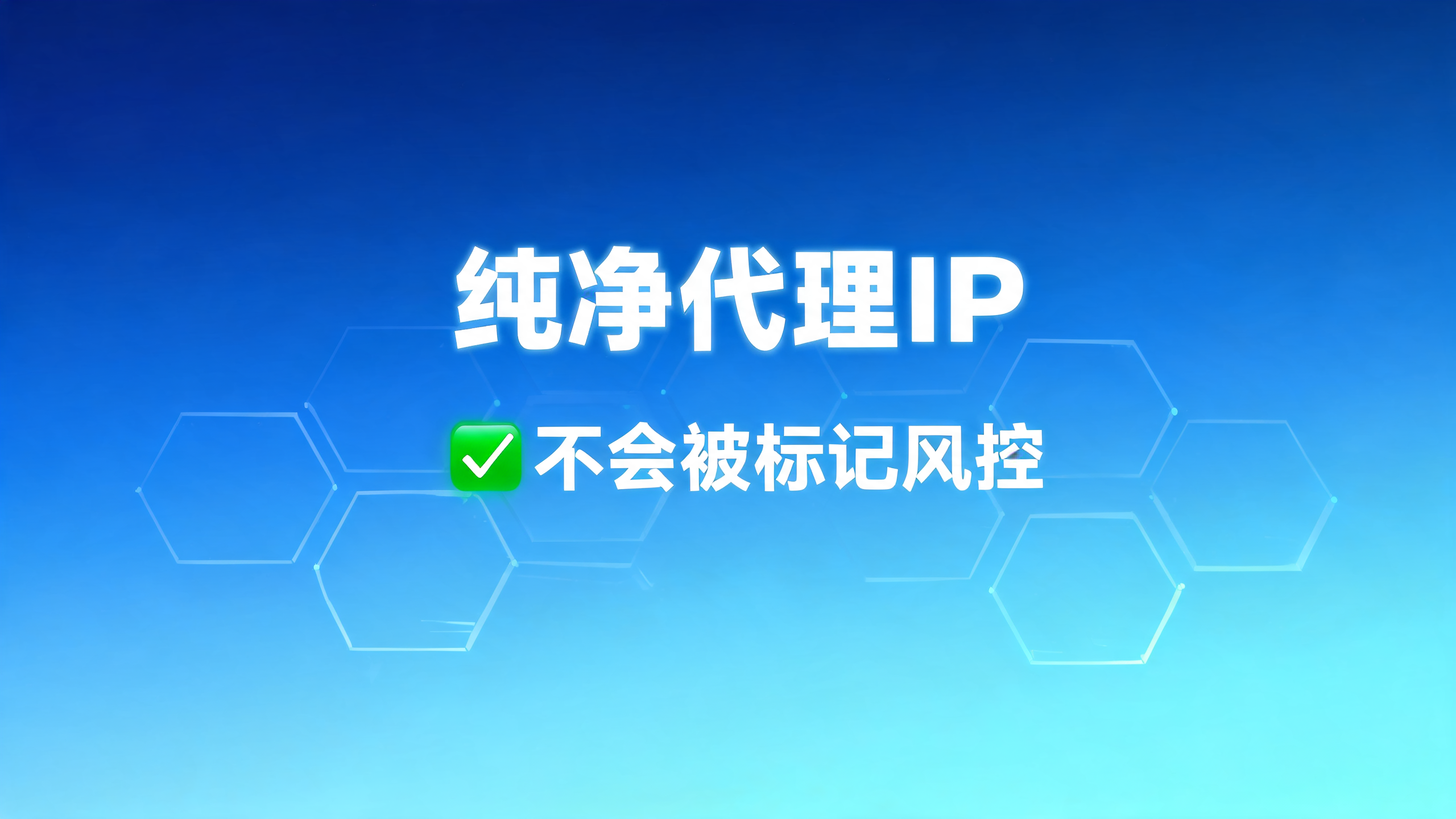 纯净代理IP不会被标记风控?